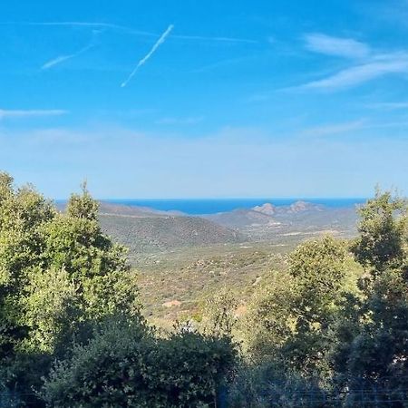 Vos Vacances A Lama France Corse Ngoại thất bức ảnh