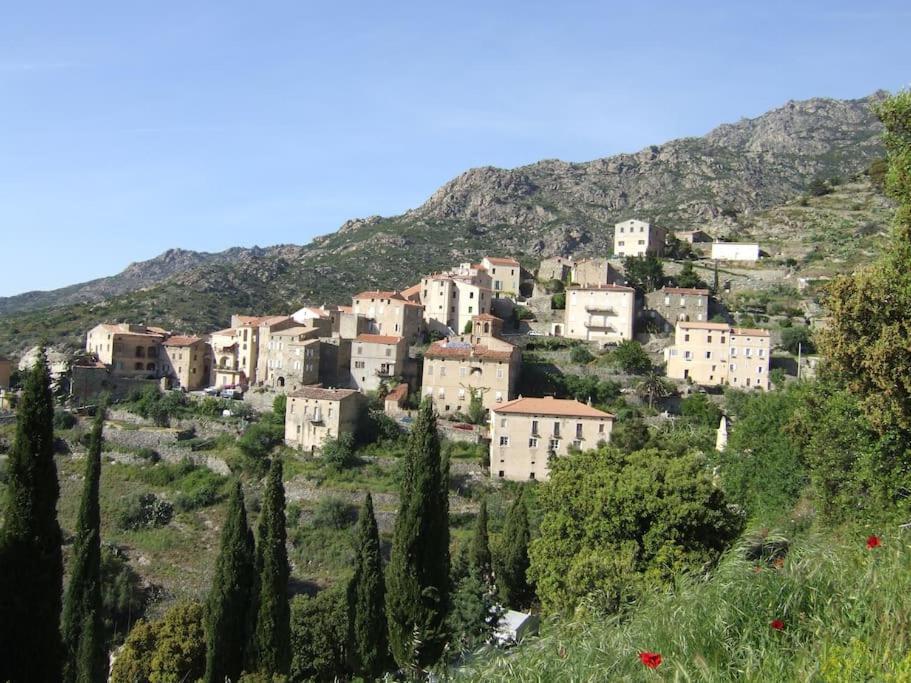 Vos Vacances A Lama France Corse Ngoại thất bức ảnh