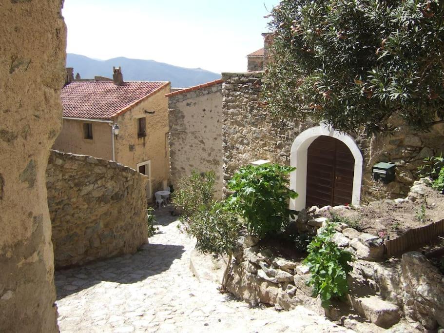 Vos Vacances A Lama France Corse Ngoại thất bức ảnh
