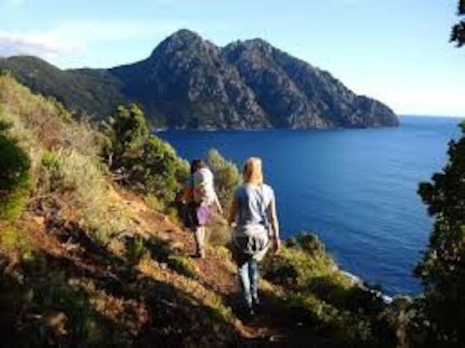 Vos Vacances A Lama France Corse Ngoại thất bức ảnh