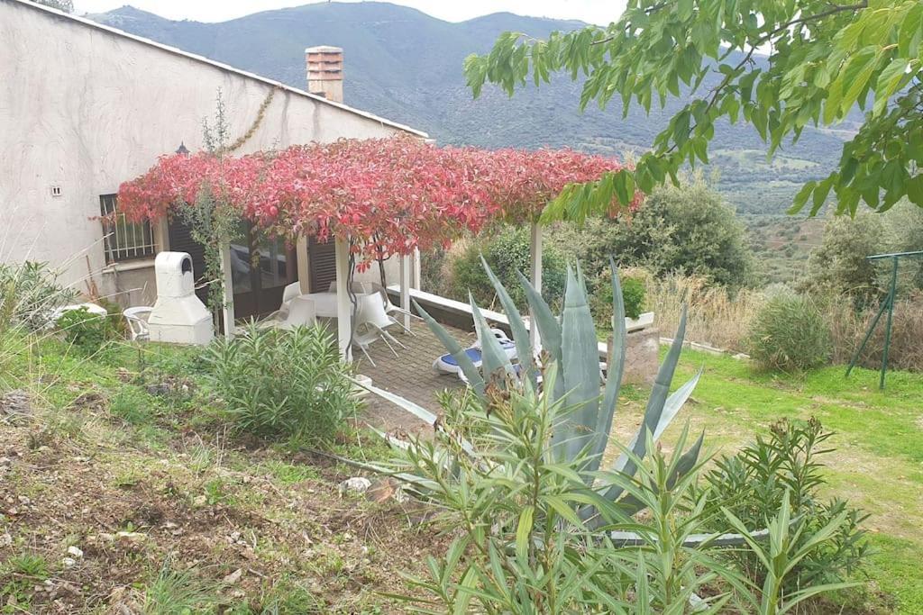 Vos Vacances A Lama France Corse Ngoại thất bức ảnh