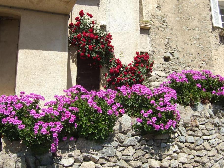Vos Vacances A Lama France Corse Ngoại thất bức ảnh