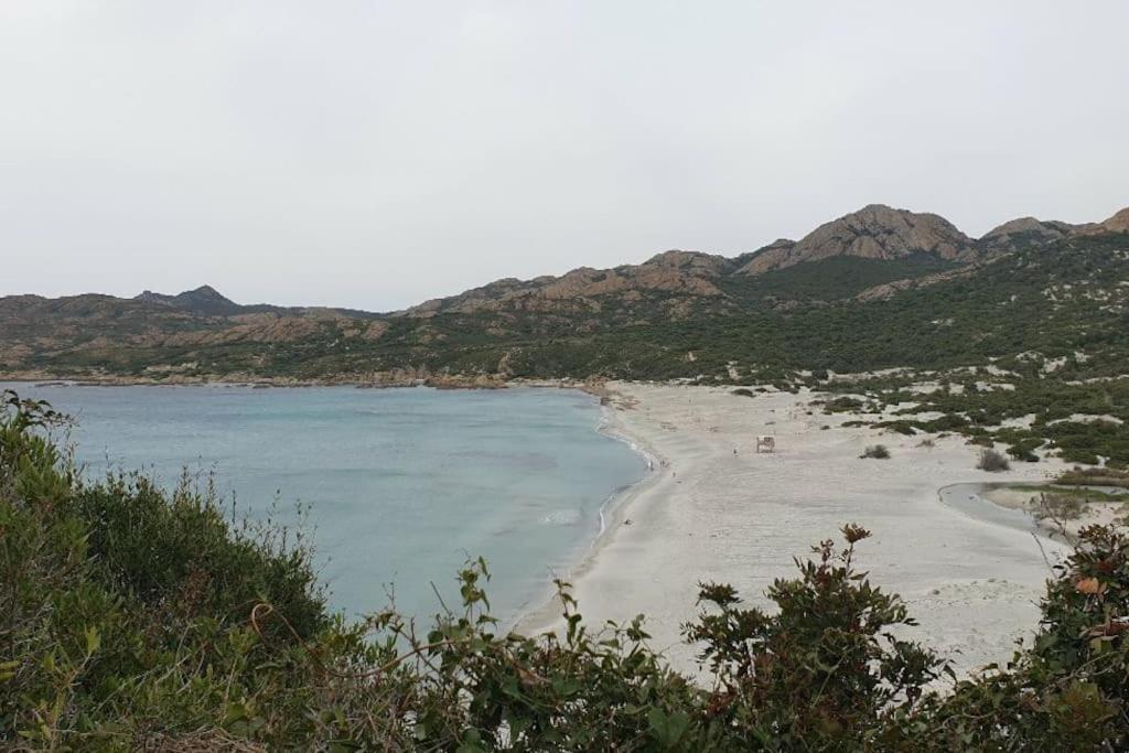Vos Vacances A Lama France Corse Ngoại thất bức ảnh