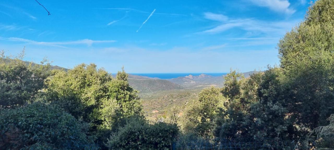 Vos Vacances A Lama France Corse Ngoại thất bức ảnh